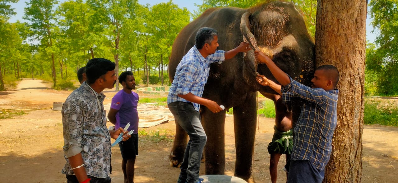 Medical Care Activity